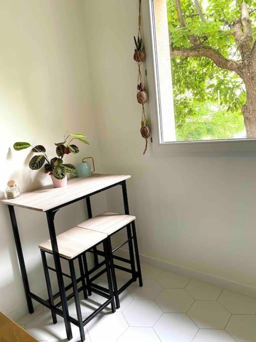Mon Cocoon Toulousain Cosy Appartement Idealement Situe Tuluza Zewnętrze zdjęcie